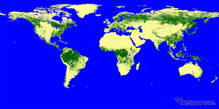 全球森林マップ