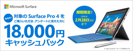 アンケートに答えて応募する。キャンペーン期間は2月28日まで