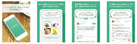 ペットのお悩みを飼い主どうしで相談…iOSアプリ「ペット生活アンサー」