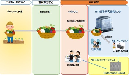 実証実験の流れ