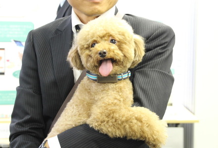 愛犬見守りサービス「わんダント2」製品説明会　サービススタッフのエースくん