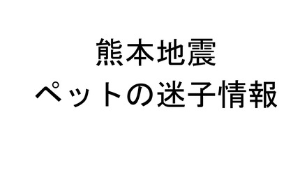 「見つけたら連絡お願い！」熊本地震で迷子のペット多数