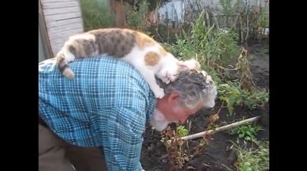 【動画】庭仕事のお爺さんの背中で毛づくろい！