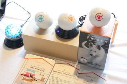 犬、猫のストレスを解消する「Friendsbot」