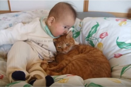 【動画】仲良く寄り添う赤ちゃんと猫