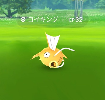 ポケモンgo 金色のコイキング 存在が明らかに 進化で赤いギャラドスに Rbb Today