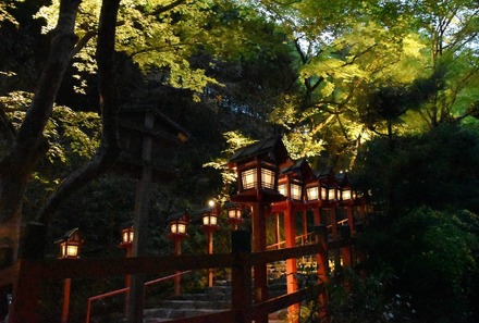 貴船神社の青もみじライトアップ