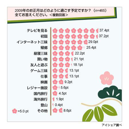 正月の過ごし方