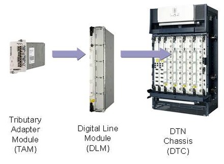 DTNの構造