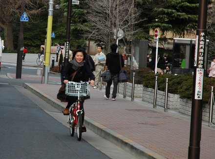 チャリで颯爽と登場！　とはいえ、毎度車にひかれそうです