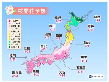 桜開花トップは東京で3月18日予想！全国的に平年より早い傾向......ウェザーニューズ「第二回桜開花予想」