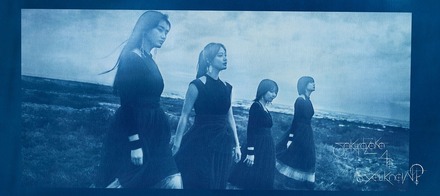 櫻坂46 1stアルバム『As you know?』完全生産限定盤ジャケット写真