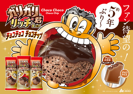 ガリガリ君リッチチョコチョコチョコチップ