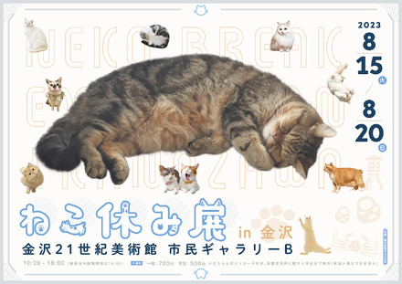 ねこ休み展 2023 in 金沢