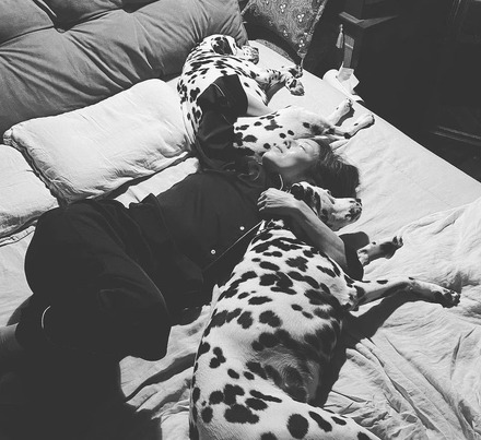 高岡早紀、パジャマ姿で愛犬たちの間で眠る至福ショット