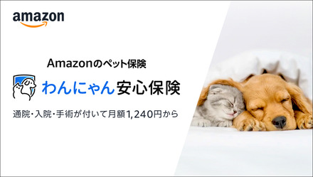 Amazon、ペット保険「わんにゃん安心保険」発売