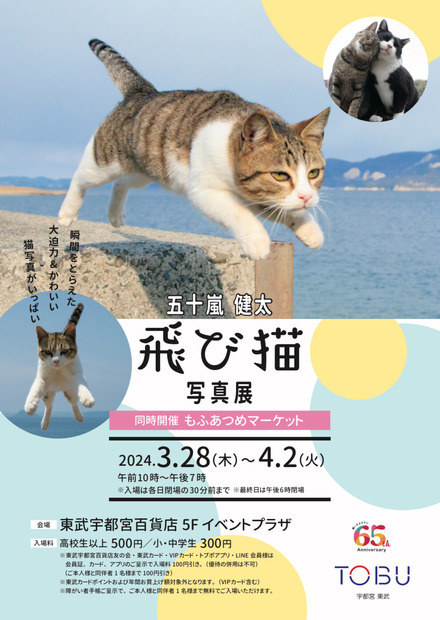 飛び猫写真展