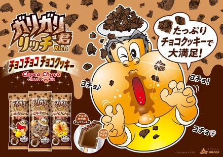 ガリガリ君リッチチョコチョコチョコクッキー