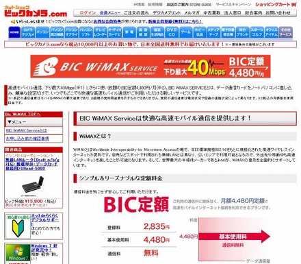 「Bic WiMAX Service」サイト（画像）