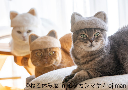 ねこ休み展