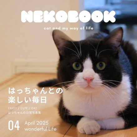 ハチワレ猫「はっちゃん」の奇跡の生還をおさめた写真集が発売 ハチワレ猫「はっちゃん」の奇跡の生還をおさめた写真集が発売