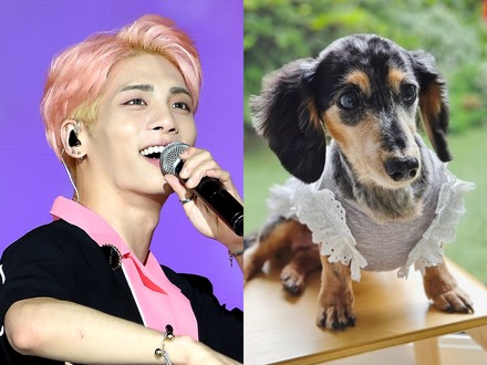 SHINee・ジョンヒョンさんの愛犬ルー、15歳で虹の橋を渡る。家族が報告「ずっと愛してる。もう会いたいよ…」