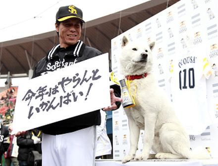 秋山監督と白戸家のお父さん