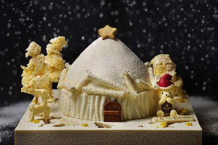 クリスマスハウスケーキ　価格：¥70,000