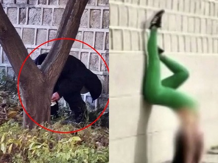 「最低限の礼儀守れ」ついに“排便”する姿まで　韓国の文化遺産一帯で外国人観光客の迷惑行為、大学教授が怒り