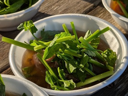 宮城名物のせり鍋