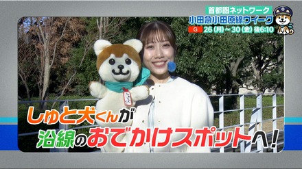 首都圏ネットワーク「小田急小田原線沿線ウイーク」(C)NHK