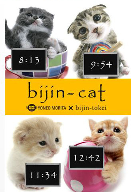bijin-cat