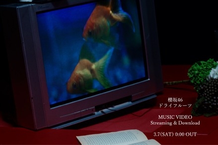 新曲『ドライフルーツ』