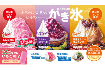 コメダ珈琲店、季節限定かき氷5品を全国発売！東日本・東海と西日本で異なる限定フレーバーも 画像