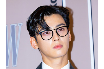 韓国芸能人最高額の脱税か…“顔天才”チャウヌ、故意である「痕跡があまりにも鮮明」と専門家 画像