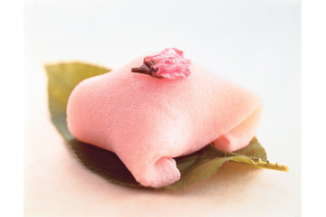 「桜もちの食べ比べ」から「天然鯛の桜蒸し」まで！東武池袋で12日より“桜グルメ”販売 画像