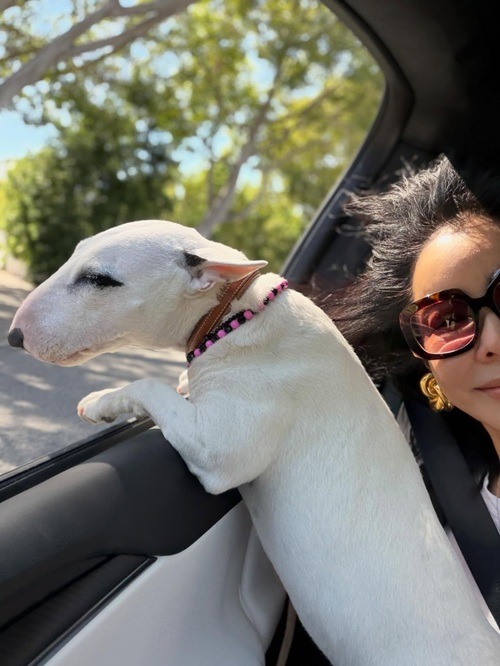 イ・ヘヨンと愛犬