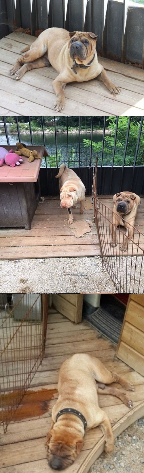 疑惑が浮上した写真