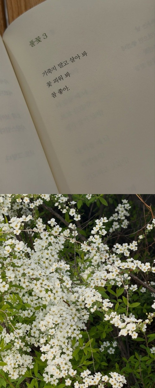 ウォニョンのインスタグラム投稿