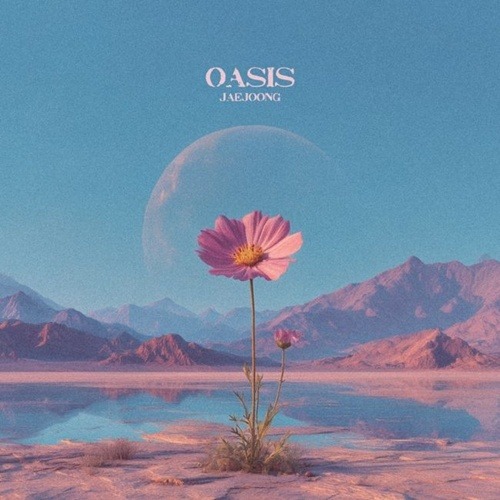『OASIS』