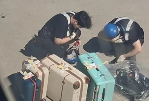 荷物を機体から降ろす様子