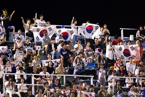 野球韓国代表を応援する人たち