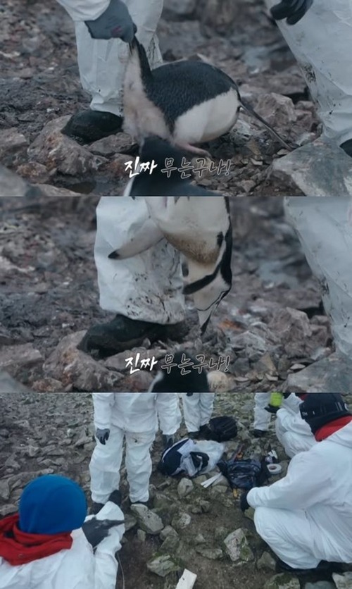 『南極のシェフ』予告編