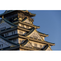 検定資格を専門に取り扱う一般社団法人 日本総合検定資格センターは、 2025年10月19日（日）に初めて「第1回 日本名城検定」を一般公開ＷＥＢ受検にて全国一斉に初開催します。