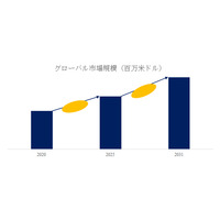 紙力増強剤市場分析：世界市場の成長、動向、機会、産業予測2025-2031