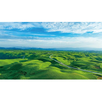 万博に“阿蘇の草原”が出張！茅の産地・阿蘇、真庭、近江八幡が連携し、サステナビリティイベントを共催