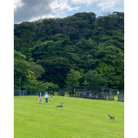 【千葉県富津市】保護犬とその里親が安心して過ごせる環境を目指すー　新たなドッグフィールド開発構想「DOX FIELD Northland」プロジェクト始動
