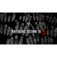 BreakingDown18.5のメインスポンサーにチラシ×デジタルの「ポスティングホールディングス」が就任！