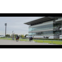 走り終えた馬の未来を描くドキュメンタリー映像を公開