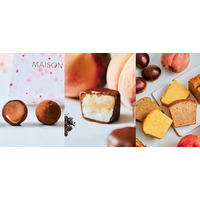 人生の節目に寄り添うチョコレートへ。 メゾンカカオ ジェイアール名古屋タカシマヤ店が2026年2月25日（水）、装い新たにリニューアルオープン。